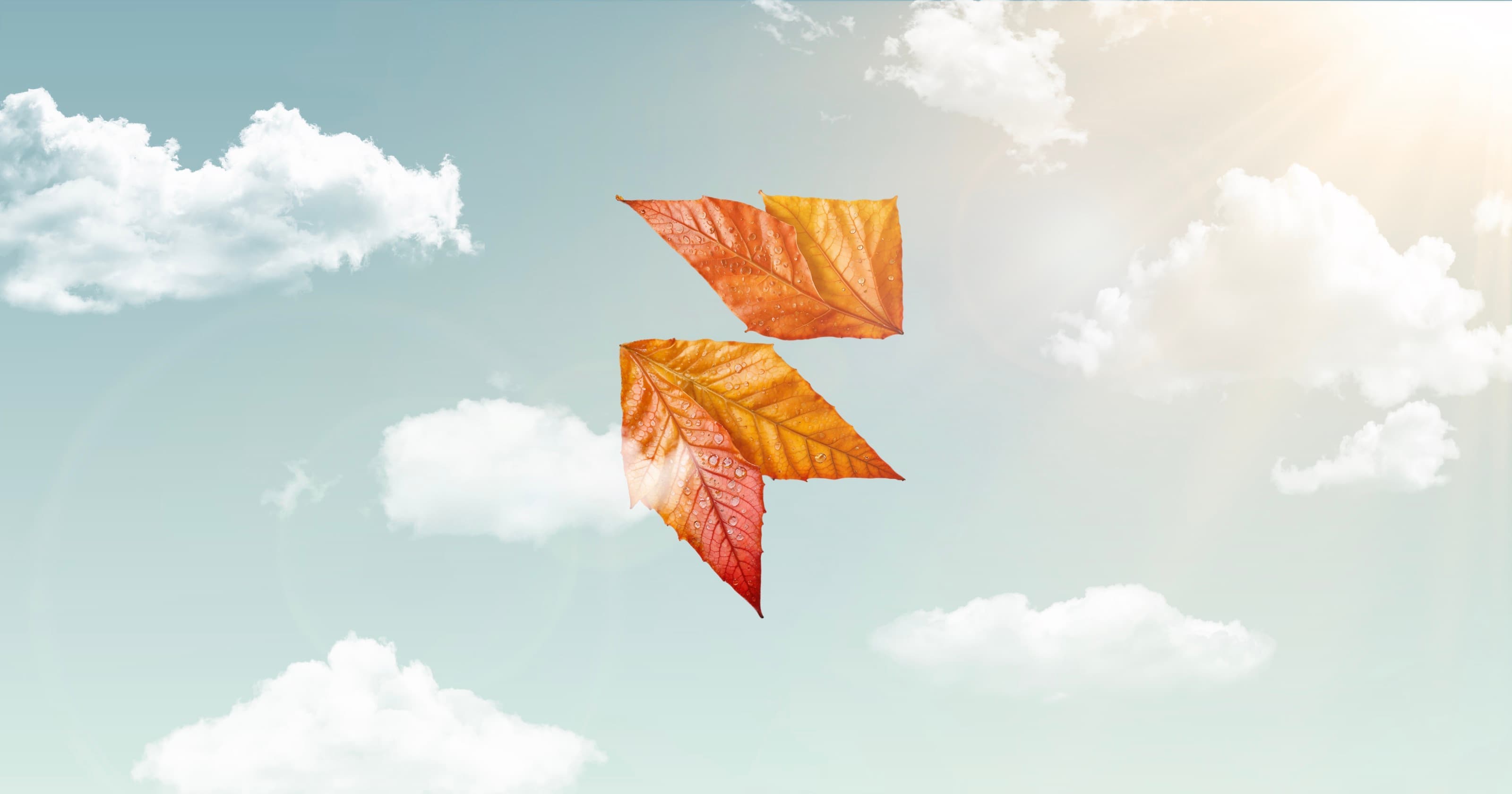 Open Graph Image of framer.com/events